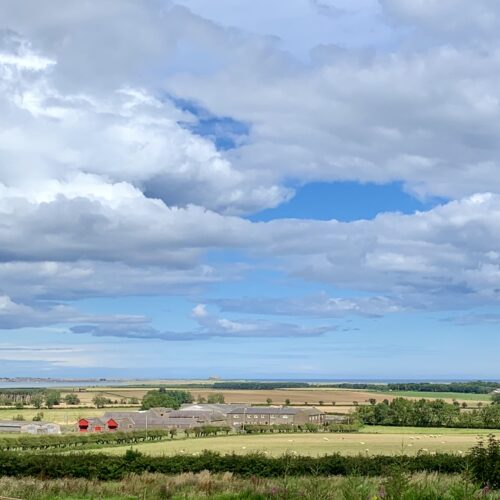View from Shearling Hut